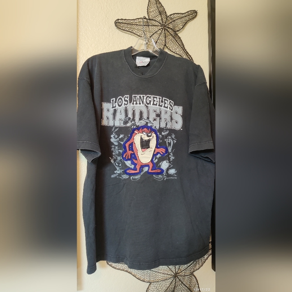 SUPER RARE OLD VINTAGE 1993 RAIDERS TAZ STITCHED EMBROIDERED NFL WARNER BROTHERS